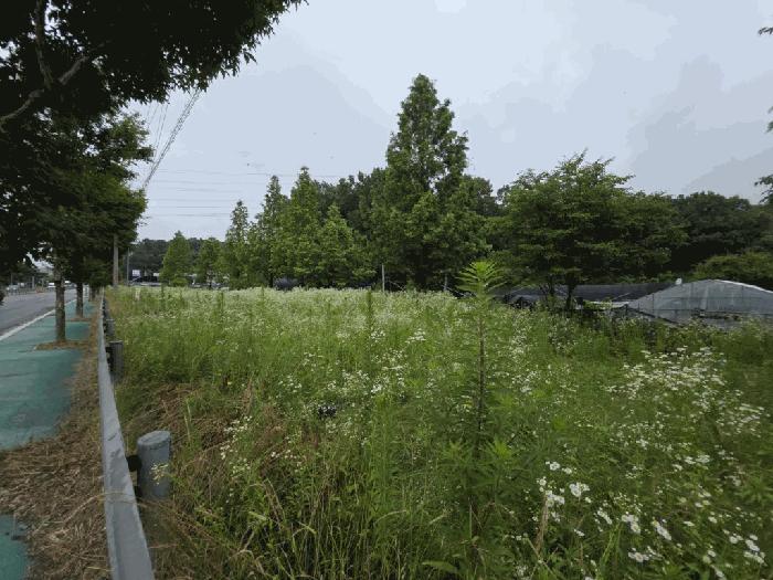 법원경매 2025타경2357 사진6 | 양주시 마전동 441-10 답 경매