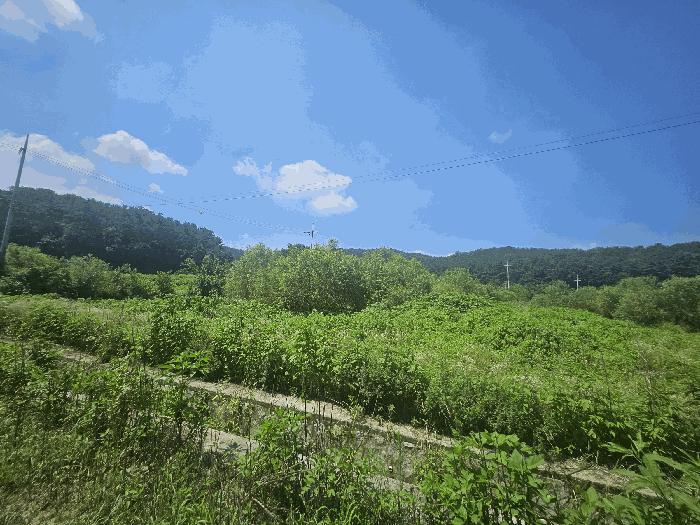 경기도 포천시 일동면 길명리 83-2 법원경매 물건 대표사진