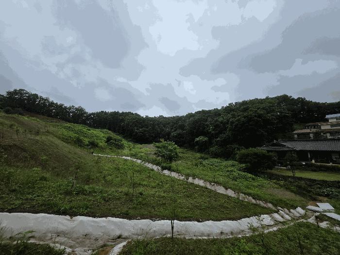 2025타경72524 법원경매 사진2 | 경기 연천군 기타 경매