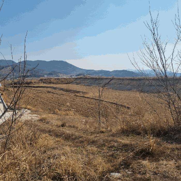 2025타경142 법원경매 사진3 | 경북 예천군 답 경매