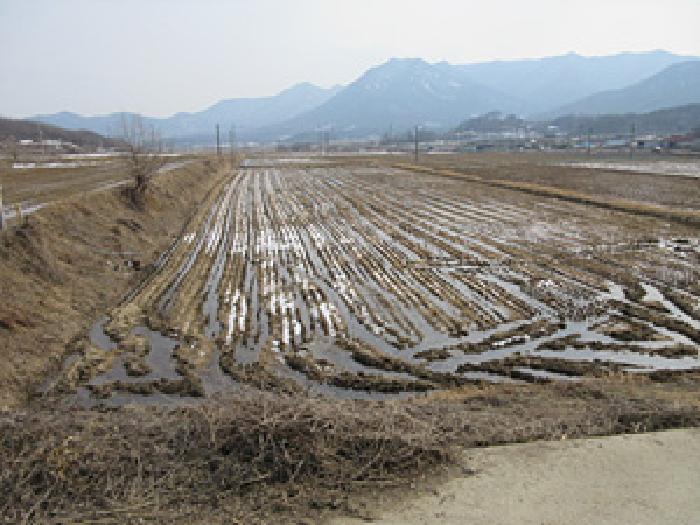 법원경매 2025타경5244 사진3 | 문경시 농암면 지동리 677 답 경매
