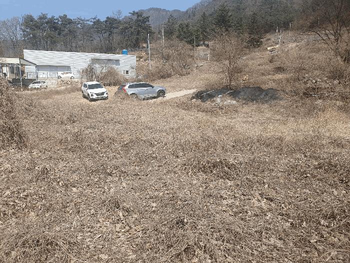 법원경매 2025타경5246 사진4 | 문경시 문경읍 상초리 288-4 대지 경매