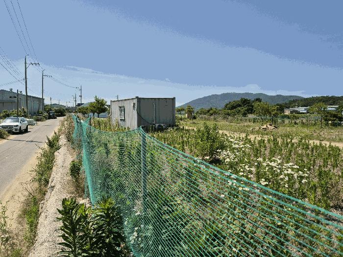 2025타경31323 법원경매 사진5 | 경북 고령군 답 경매