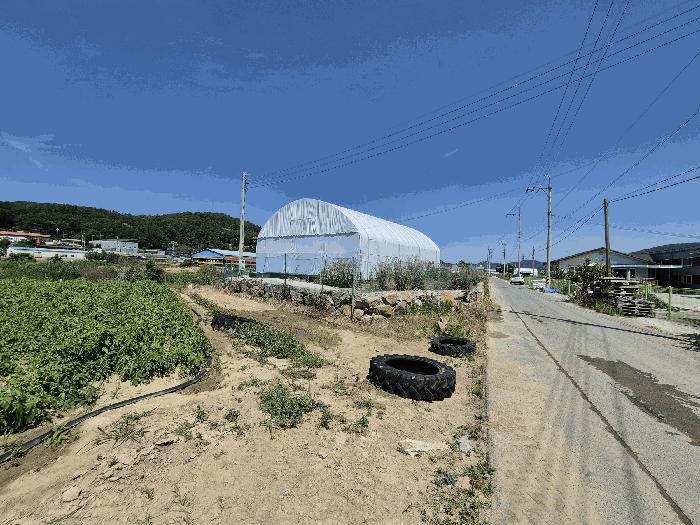 2025타경31323 법원경매 사진6 | 경북 고령군 답 경매