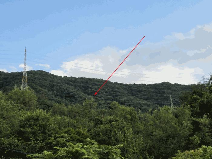 법원경매 2025타경31701 사진2 | 대구 달성군 논공읍 본리리 임야 경매