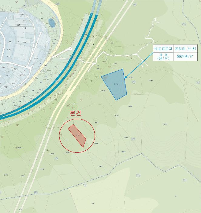 법원경매 2025타경31701 사진5 | 대구 달성군 논공읍 본리리 임야 경매