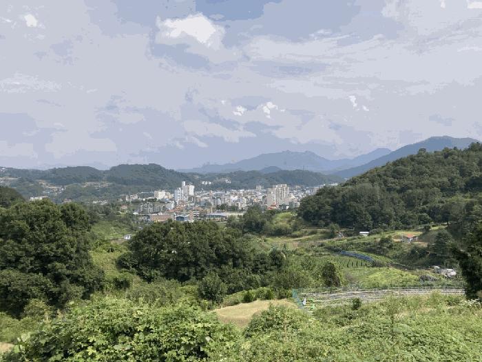 2025타경51795 법원경매 사진4 | 충북 괴산군 전 경매