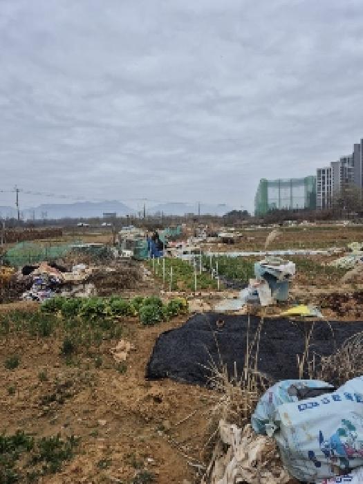 법원경매 2025타경1212 사진3 | 광주 북구 신용동 477-5 답 경매