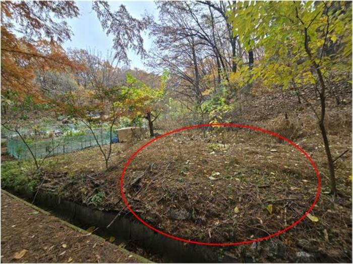 법원경매 2024타경69123 사진5 | 성남시 분당구 수내동 277 전 경매