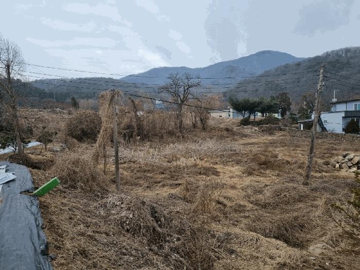 법원경매 2025타경51597 사진3 | 광주시 남종면 삼성리 291-73 대지 경매