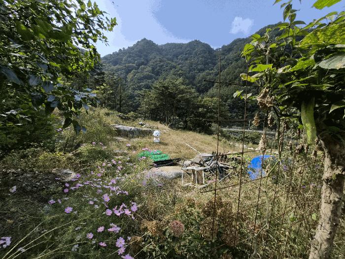 법원경매 2025타경2305 사진5 | 인제군 상남면 미산리 555-21 단독주택다가구 경매