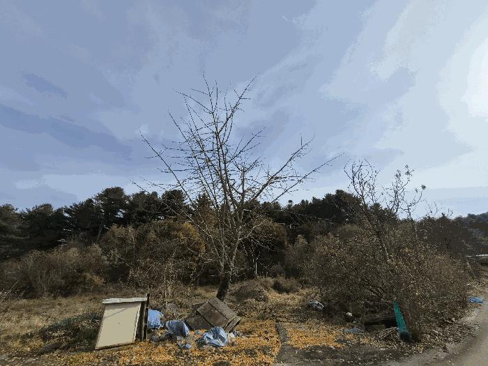 강원특별자치도 홍천군 화촌면 풍천리 산67 법원경매 물건 대표사진