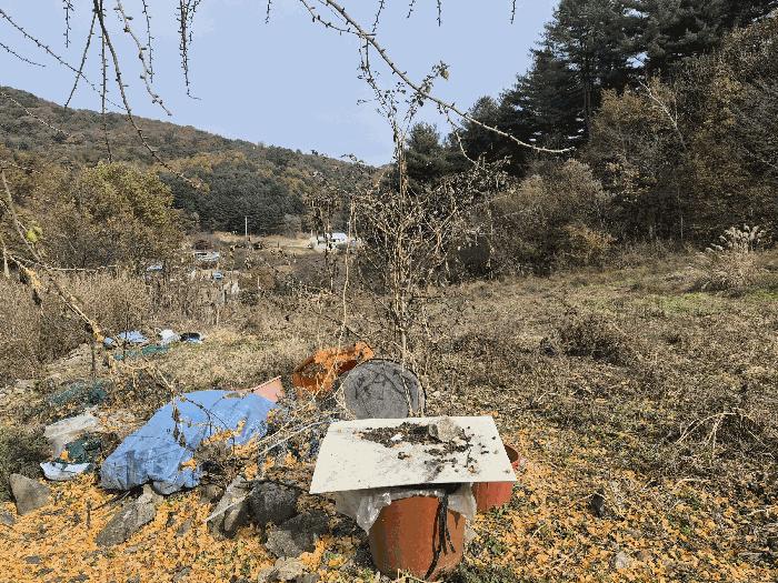 법원경매 2025타경2510 사진4 | 홍천군 화촌면 풍천리 임야 경매