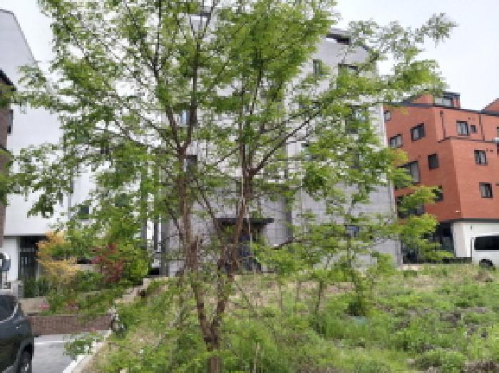 법원경매 2025타경625 사진6 | 평택시 고덕동 2474-2 대지 경매