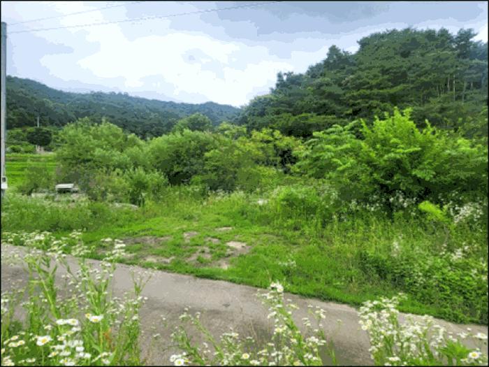법원경매 2025타경20698 사진4 | 원주시 흥업면 대안리 142 답 경매