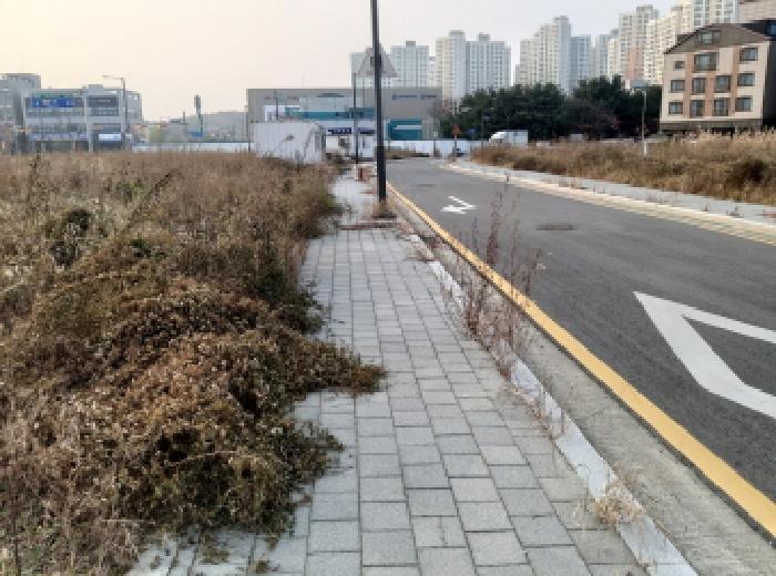 법원경매 2025타경41527 사진10 | 평택시 동삭동 182-12 답 경매