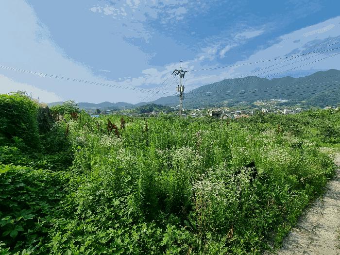 충청북도 충주시 안림동 393-3 법원경매 물건 대표사진