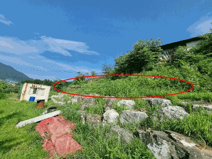 2025타경1241 법원경매 사진2 | 충북 충주시 전답 경매