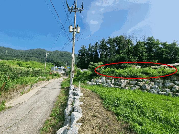 2025타경1241 법원경매 사진3 | 충북 충주시 전답 경매