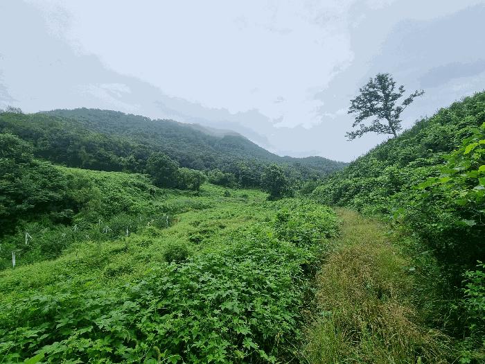 충청북도 충주시 앙성면 목미리 201 법원경매 물건 대표사진