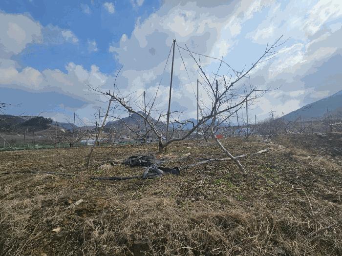 2025타경30420 법원경매 사진3 | 충북 충주시 답 경매