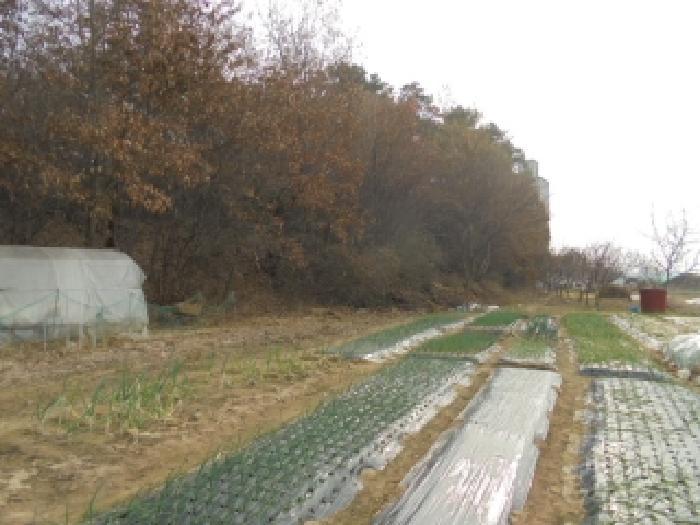2024타경1817 법원경매 사진40 | 충남 논산시 답 경매