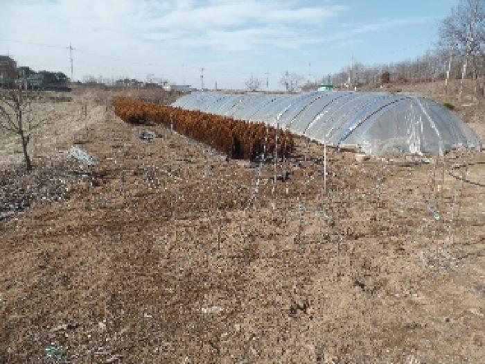 2024타경1817 법원경매 사진44 | 충남 논산시 답 경매