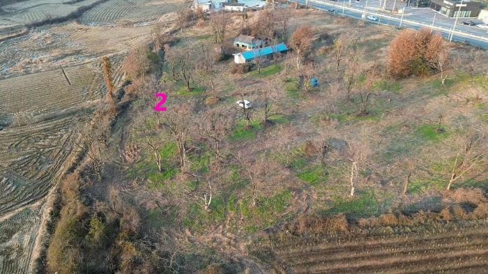 2024타경1817 법원경매 사진3 | 충남 논산시 전 경매