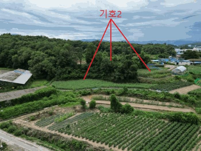 2025타경30632 법원경매 사진7 | 충북 음성군 임야 경매