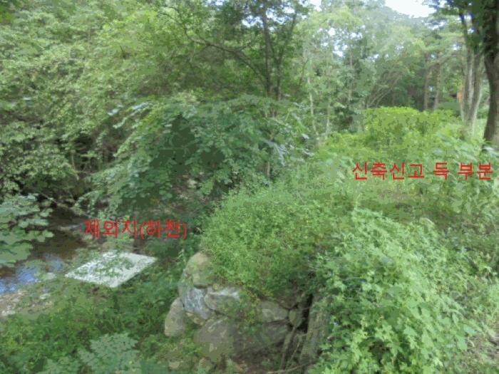 2025타경144 법원경매 사진6 | 충북 제천시 임야 경매