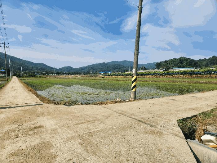 세종특별자치시 전동면 보덕리 385-6 법원경매 물건 대표사진