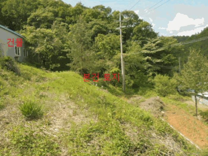 2025타경5314 법원경매 사진11 | 충북 제천시 공장 경매