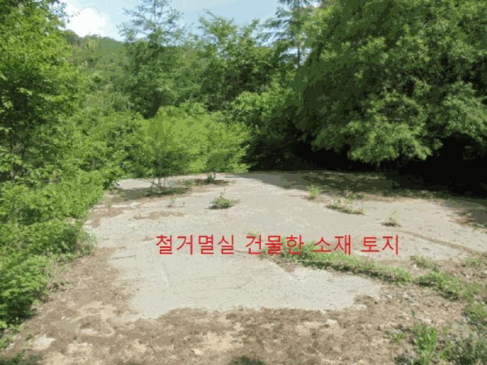 2025타경5314 법원경매 사진4 | 충북 제천시 공장 경매