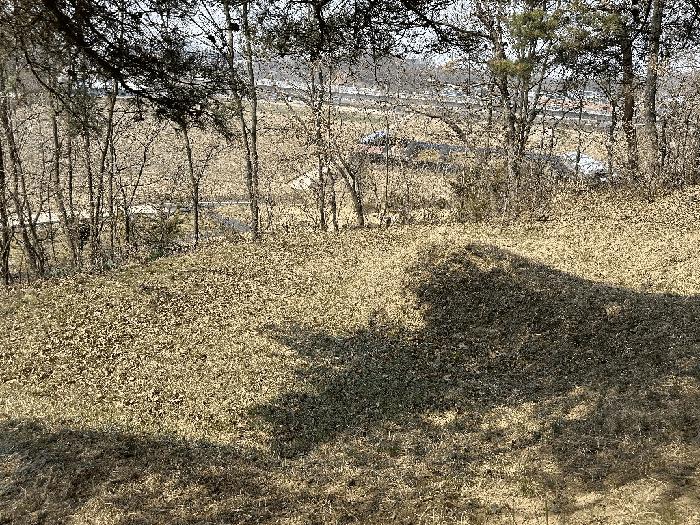 세종특별자치시 부강면 산수리 216-4 법원경매 물건 대표사진