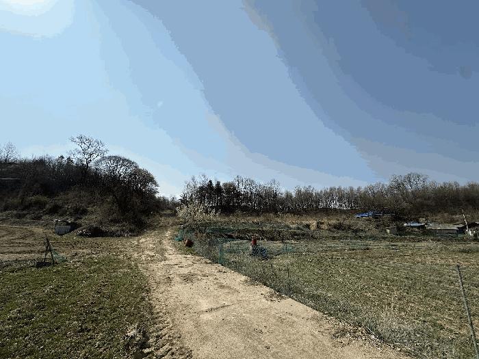 2025타경502006 법원경매 사진22 | 세종 부강면 대지,임야,전답 경매