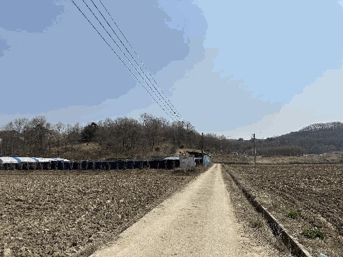 2025타경502006 법원경매 사진7 | 세종 부강면 대지,임야,전답 경매