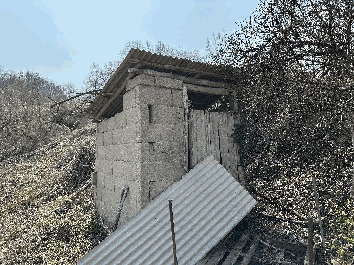 2025타경502006 법원경매 사진9 | 세종 부강면 대지,임야,전답 경매