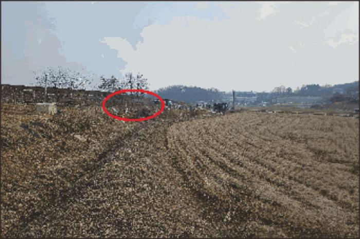 2024타경116866 법원경매 사진28 | 천안 동남구 임야 경매