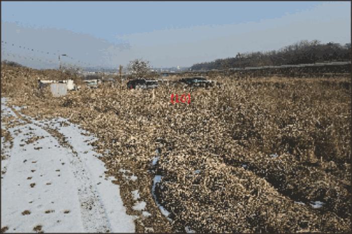 법원경매 2024타경116866 사진12 | 천안시 동남구 성남면 석곡리 임야 경매