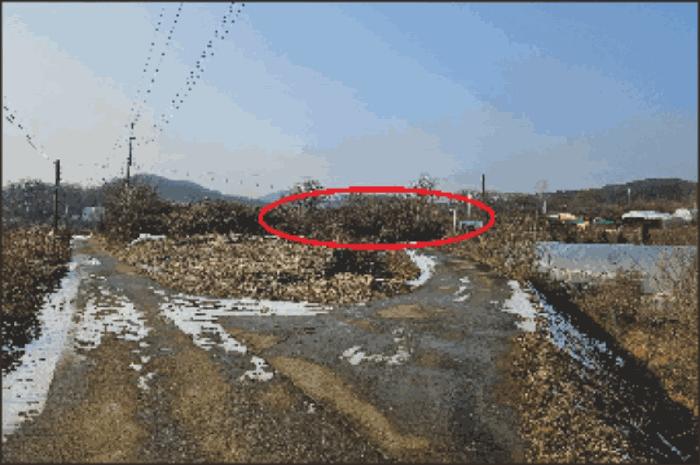 법원경매 2024타경116866 사진14 | 천안시 동남구 성남면 석곡리 임야 경매