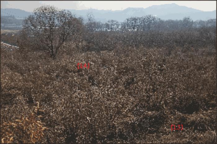 법원경매 2024타경116866 사진16 | 천안시 동남구 성남면 석곡리 임야 경매