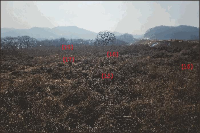법원경매 2024타경116866 사진18 | 천안시 동남구 성남면 석곡리 임야 경매