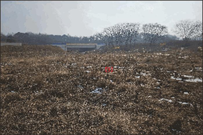 법원경매 2024타경116866 사진19 | 천안시 동남구 성남면 석곡리 임야 경매