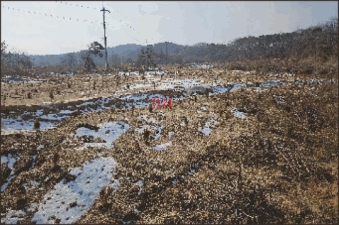 법원경매 2024타경116866 사진24 | 천안시 동남구 성남면 석곡리 임야 경매