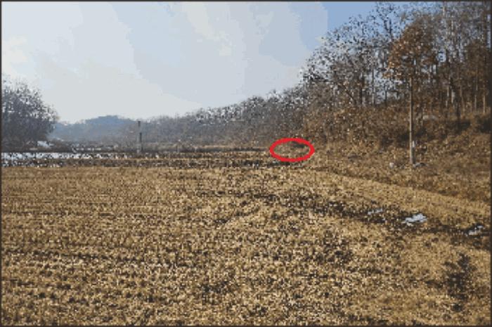 법원경매 2024타경116866 사진25 | 천안시 동남구 성남면 석곡리 임야 경매