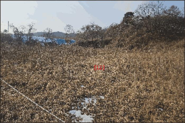 법원경매 2024타경116866 사진27 | 천안시 동남구 성남면 석곡리 임야 경매