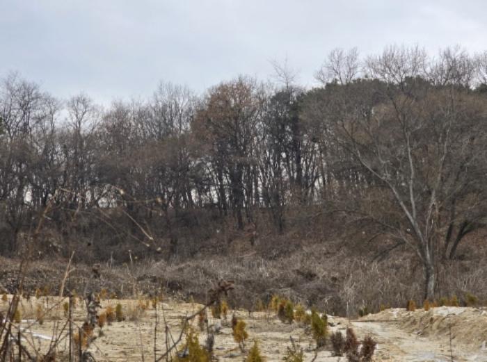 법원경매 2024타경116866 사진58 | 천안시 동남구 성남면 석곡리 임야 경매