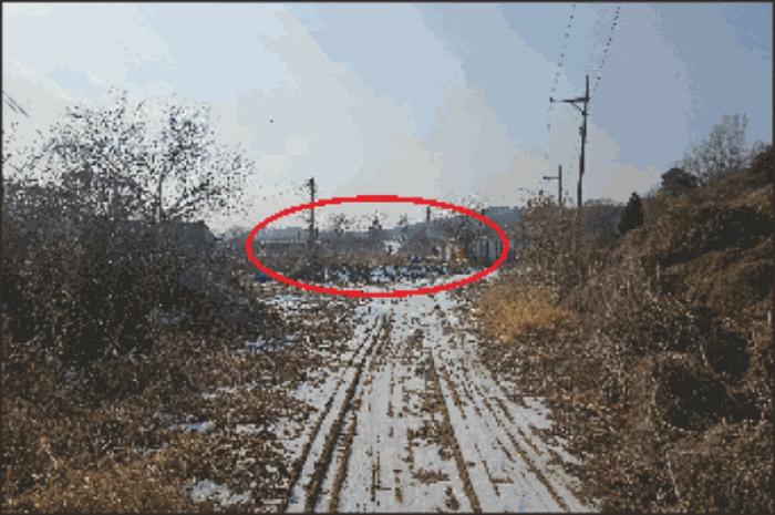 법원경매 2024타경116866 사진9 | 천안시 동남구 성남면 석곡리 임야 경매