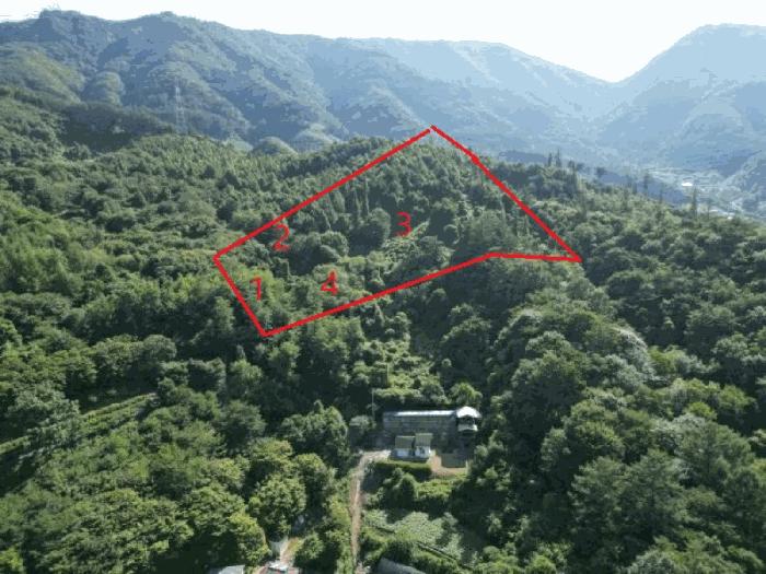 2025타경5374 법원경매 사진2 | 충북 단양군 임야 경매