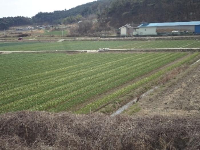 2024타경332 법원경매 사진7 | 경남 창녕군 전 경매